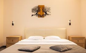 Pensiunea Floarea Soarelui Brasov